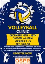 Volleyball Clinic