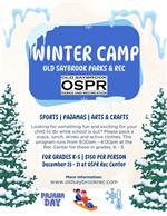 Winter Break Camp - December