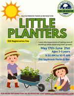 Little Planters
