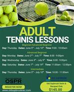 Adult Tennis