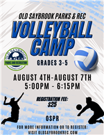 Volleyball Camp