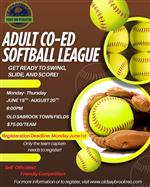 Adult Softball