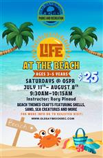 Life at the Beach