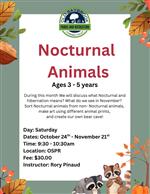 Nocturnal Animals