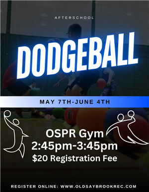 Dodeball Mania