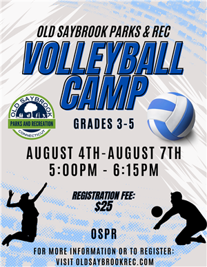 Volleyball Clinic