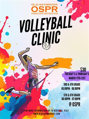 Volleyball Clinic