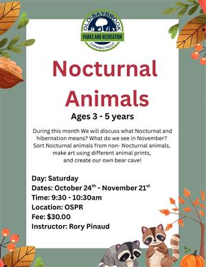 Nocturnal Animals