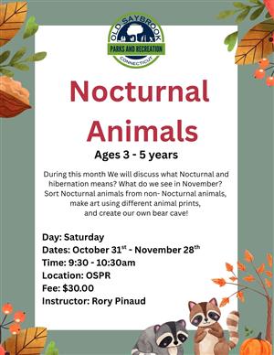 Nocturnal Animals